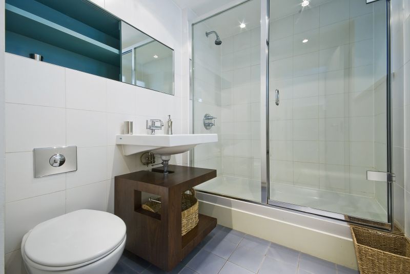 Contemporary Shower with Glass Panel
